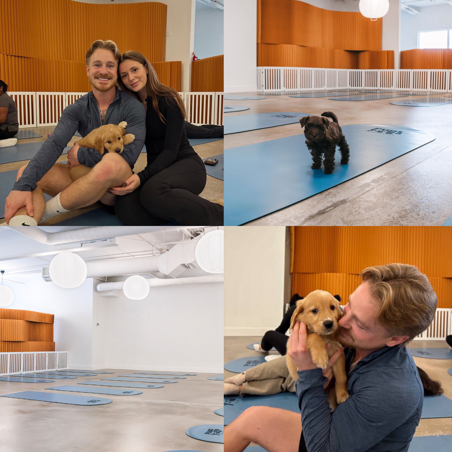 Puppy Yoga
